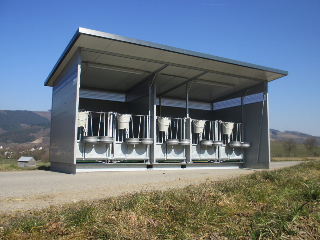 Topcalf Quinto calf hutch The best Calf hutch for 5 calves!