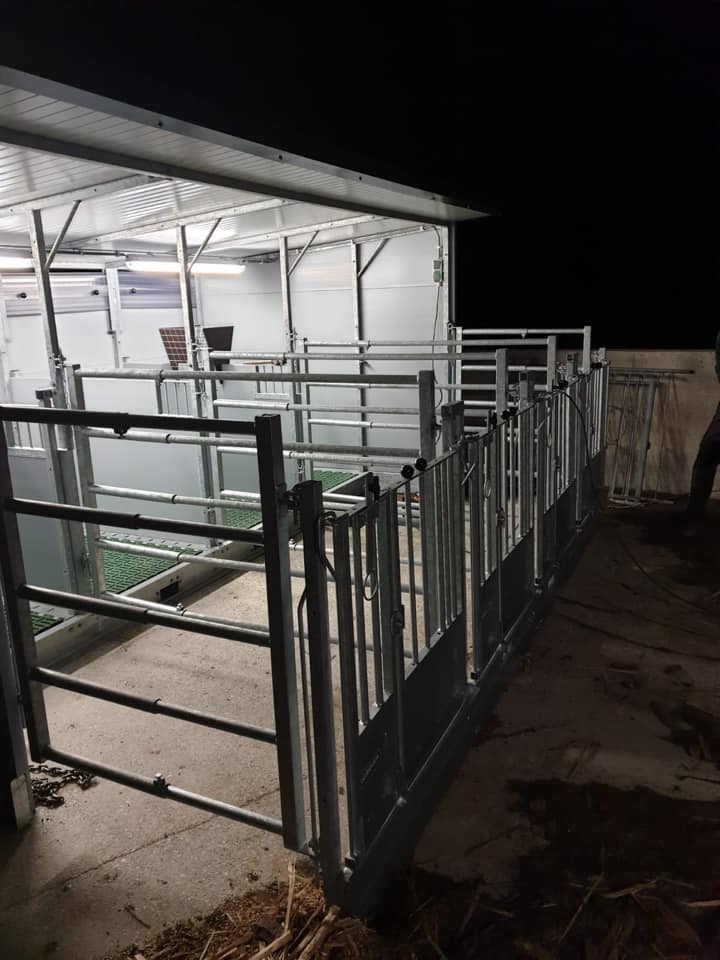 Quattro Calf Hutch The best calf hutch for 4 calves Topcalf