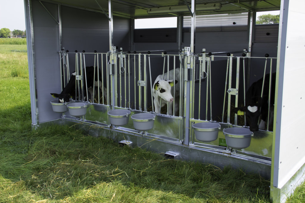 Trio Calf Hutch 50 Years experience in calf housing Topcalf